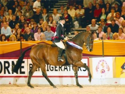 Lightweight Hunter Zin Zan Ridden By Justine Armstrong-small